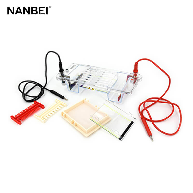 horizontal electrophoresis cell